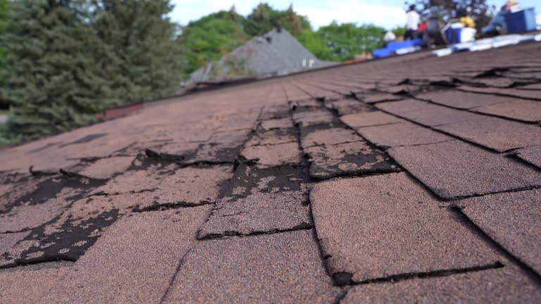 Best Metal Roofing Installation  in Trafford, PA