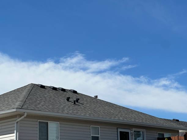 Best Solar Panel Roofing Installation  in Trafford, PA
